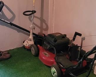 Lawn mower and Stihl weed wacker.