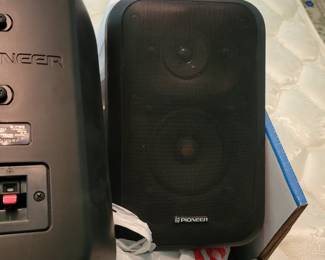 Pioneer speakers