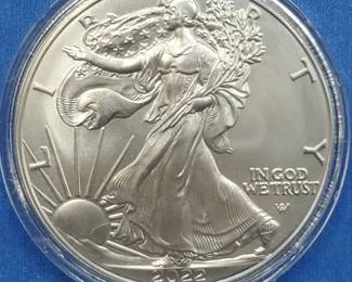 2022 American Silver Eagle in Airtite