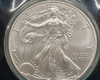 2009 American Silver Eagle in Flip Case