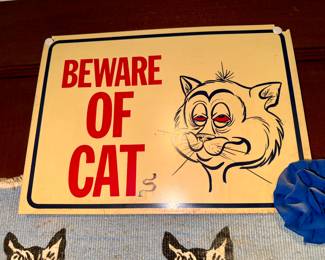 IF you are allergic, please bring your inhalers!!! Kitty stuff all over!