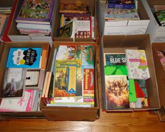 Boxes of books, and these are all the classic good ones too