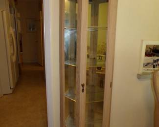 Curio Glass Cabinet with Lights