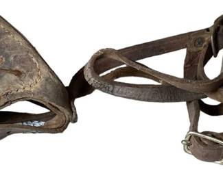 Hog Hunting Dog Collar