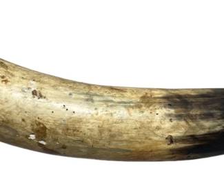 Authentic Horn Animal Call