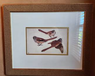 Prints signed by the Artist