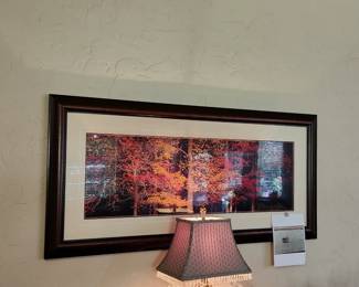 Reflection can't be helped. 'Images of Nature'. Thomas D. Mangelson. 