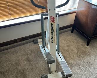 LifeStyler 300 Stair Master