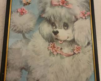 1970's Framed Print of Poodle Puppy