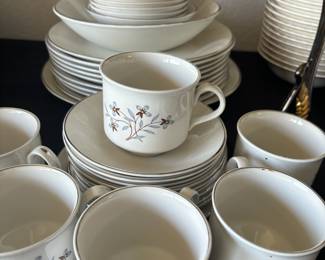 International Ironstone Salem China Set