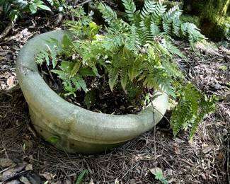 #85 Round Concrete Pot w/Fern 22x10 - You Move $40.00
#86 Round Concrete Pot w/Fern 22x10 - You Move $40.00