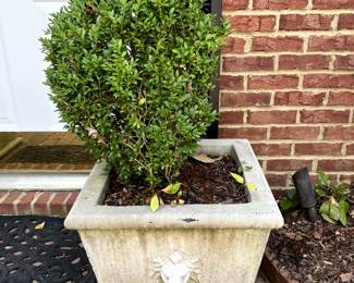 #79 Concrete Tall Square Planter - 20x17 $100.00