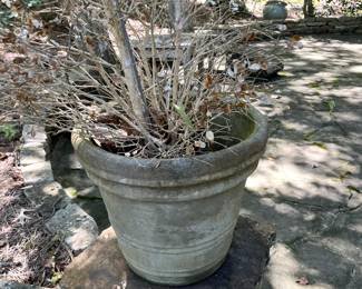 #93 Concrete Round Pot - 18x16 $40.00
#94 Concrete Round Pot - 18x16 $40.00