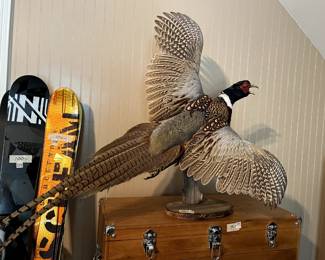 #301 Flying Pheasant on Wood Tree $100.00