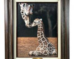 Shahni Wildlife Giraffe Glicee Framed