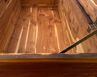 Vintage Cedar Chest