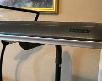 Floor Model Ott-Light