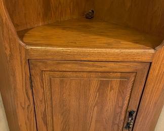 Custom Bookcase/Display Cabinet w Glass Shelves