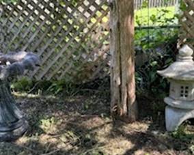 Bird Bath and Yard Statue