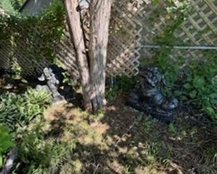 Foo Dog Yard Statues