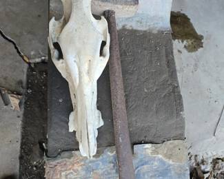 Sledge Hammer - Cow Skull