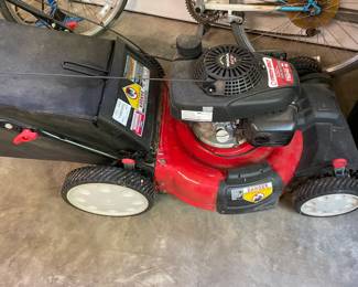 lawnmower, gas