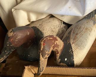 Duck Decoys