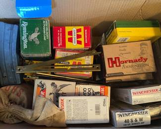 Assorted Ammunition