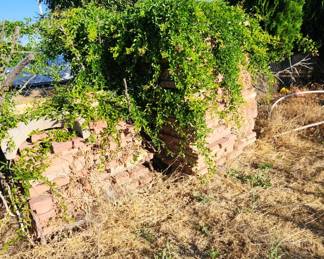 Lots of brick edging - $1/brick