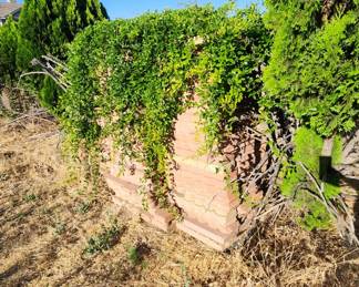 Lots of brick edging - $1/brick