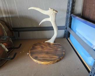 #12056 • Mounted Antler
