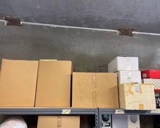 #10198 • 6 Boxes of Dolls
