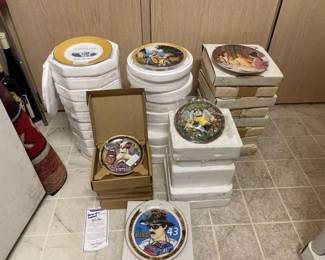 #50050 • 37 Decorative Plants
