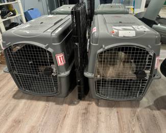 large dog crates