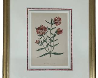 Vintage Botanical Print JOSEPH PAXTON

