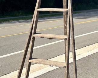 Antique Primitive Apple Picking Ladder
