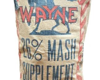 Farmhouse Chic WAYNE Mash Potato Sack Decorative Pillow
