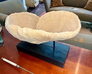Large, coral, decor. On stand 