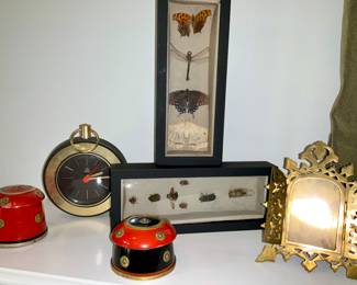 Bug boxes, Moths , Beatles, dragonflies, home decor