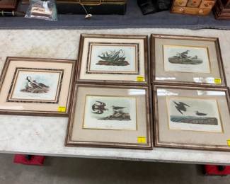 ARTIST SIGNED BY NATURE PRINTS