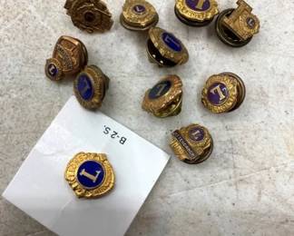 LION CLUB PINS