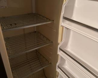 Upright Freezer 