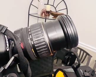 Canon Digital camera