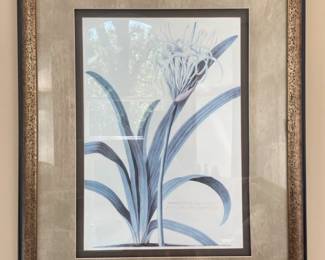 Framed Art