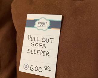 Pull Out Sofa Sleeper