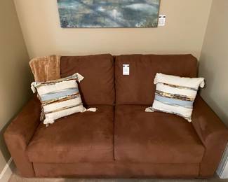 Pull Out Sofa Sleeper, Throw Pillows & Blanket, 	Gregory Williams Water Tree Art