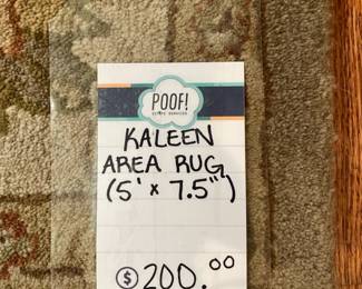 Kaleen Area Rug