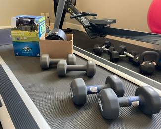 Dumbbells, Petsafe Stay Play Wireless Fence