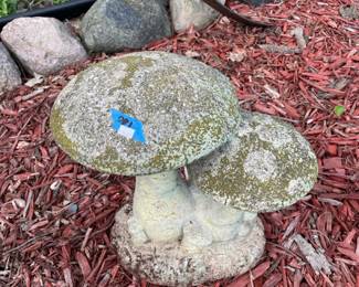 Cement Mushroom Scene