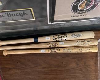 Signed baseball bats